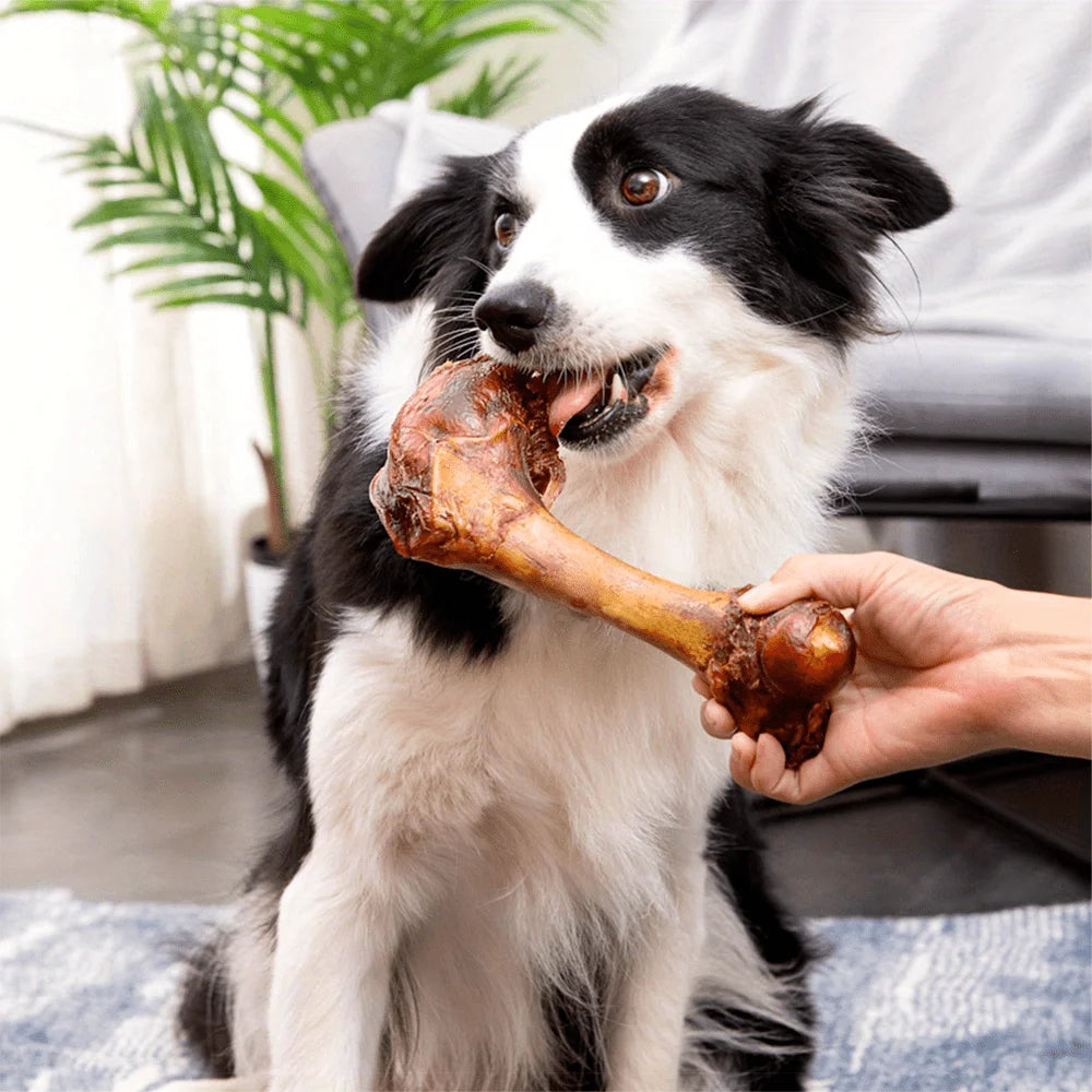 Large Cow Bone 4.23-5.29oz 5.12in All Natural Healthy Digestible