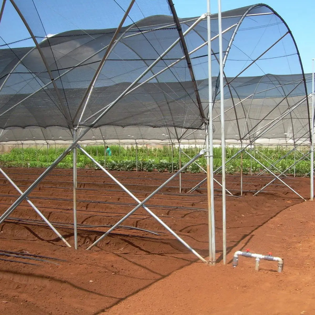 6.5 Ft x 20 Ft 50 Percent Sunblock Shade Cloth Cover with Clips for Plants Black