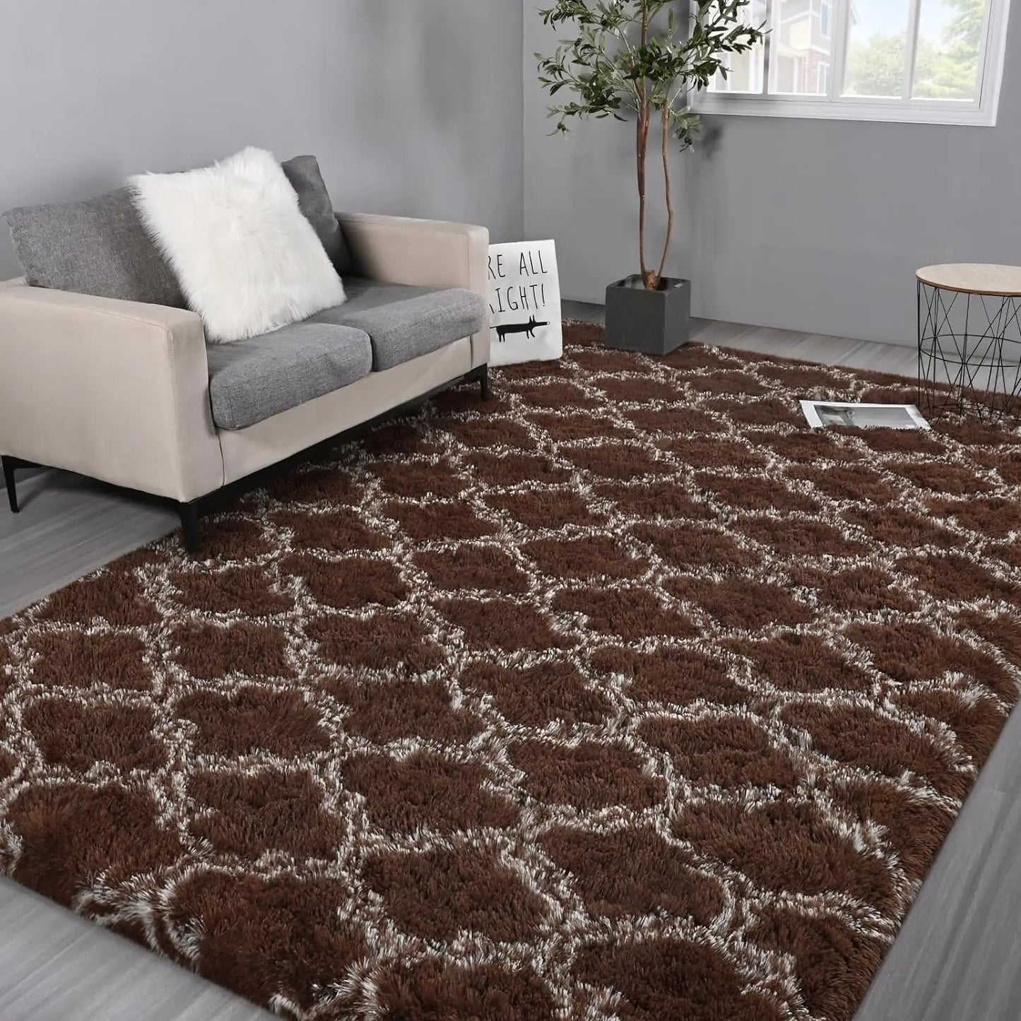 Large Shag Area Rugs Super Soft Plush Fluffy Carpets 5x7