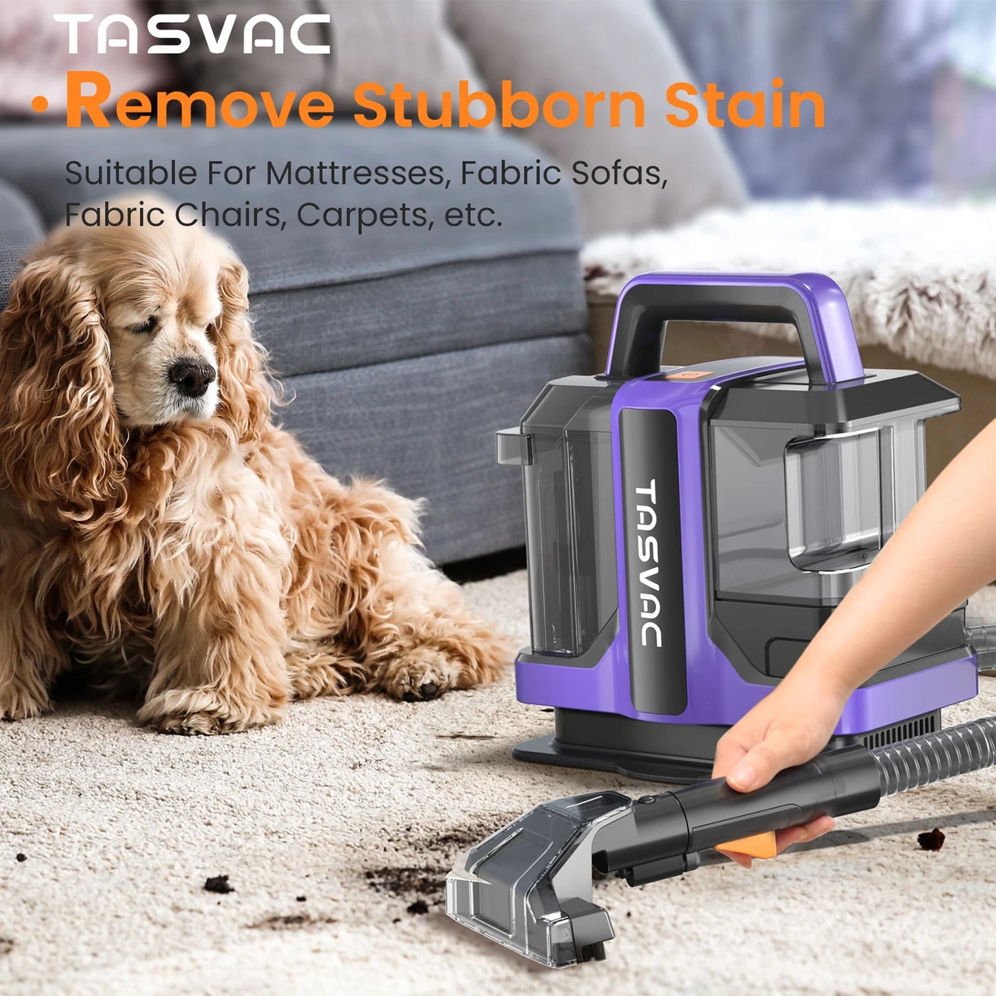 Portable Carpet & Upholstery Cleaner Machine for Pets, Stairs