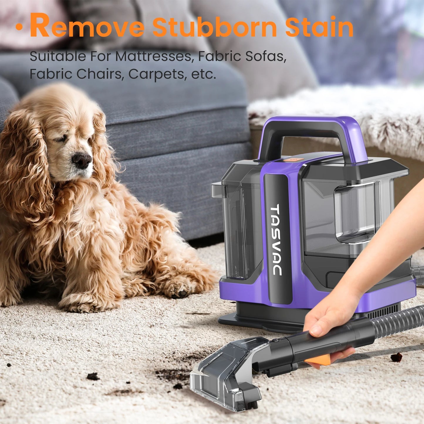 Portable Carpet & Upholstery Cleaner, Spot And Stain Deep Cleaner
